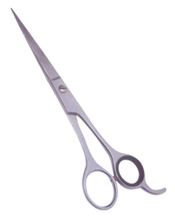 Professional Hair Cutting Scissors 